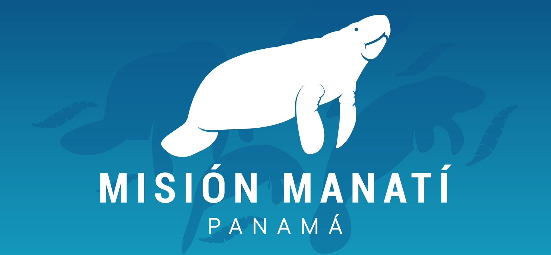 misionmanati-contact-top-img
