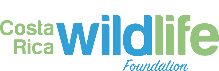 logo_wild