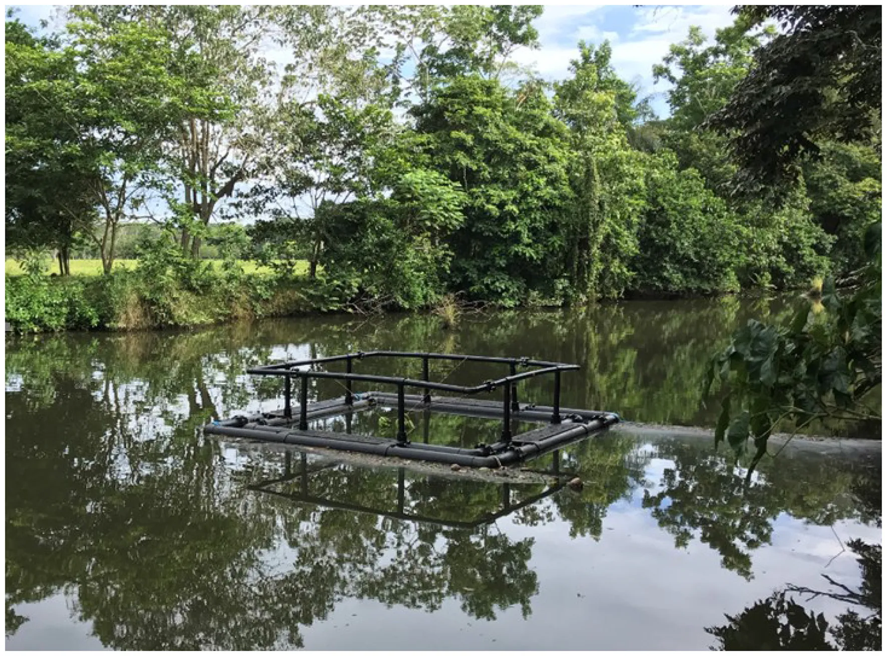 Cage used in the experiment Demographic identification of Greater Caribbean manatees via acoustic feature learning